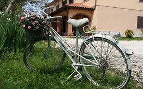 Agriturismo Diciocco